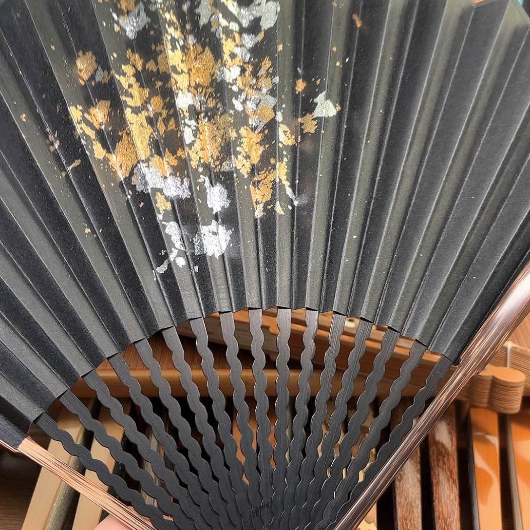 扇子爆炸金龙鳞棕竹