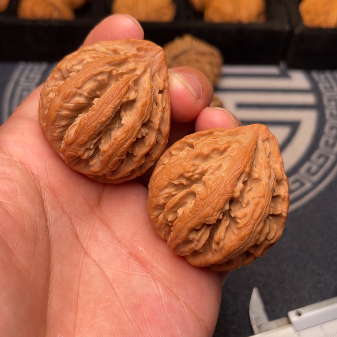 文玩核桃把件秦岭核桃25