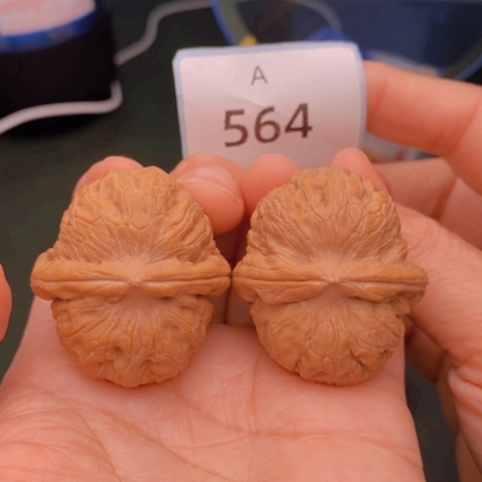 文玩核桃把件39元宝564