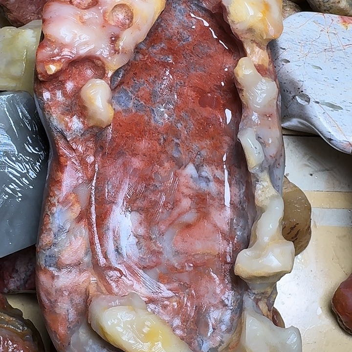 寿山石寿山石的种类