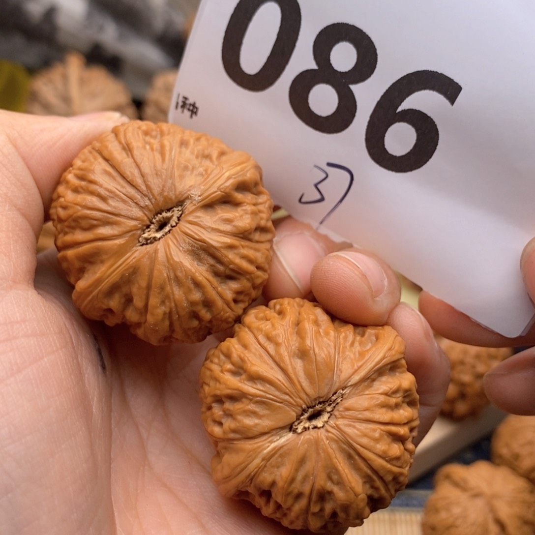 文玩核桃把件086号37铁锤