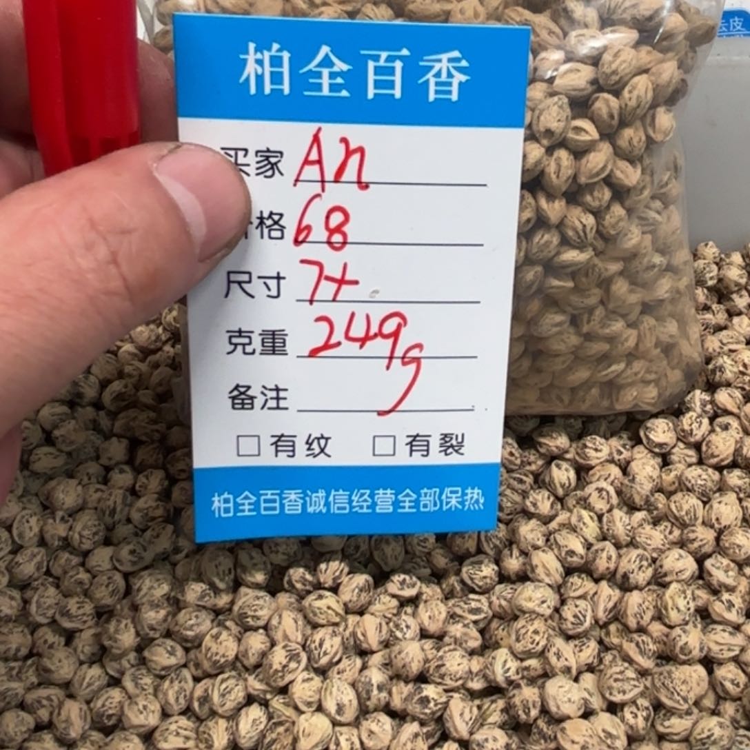 A****g柏香籽散子 249 克散子