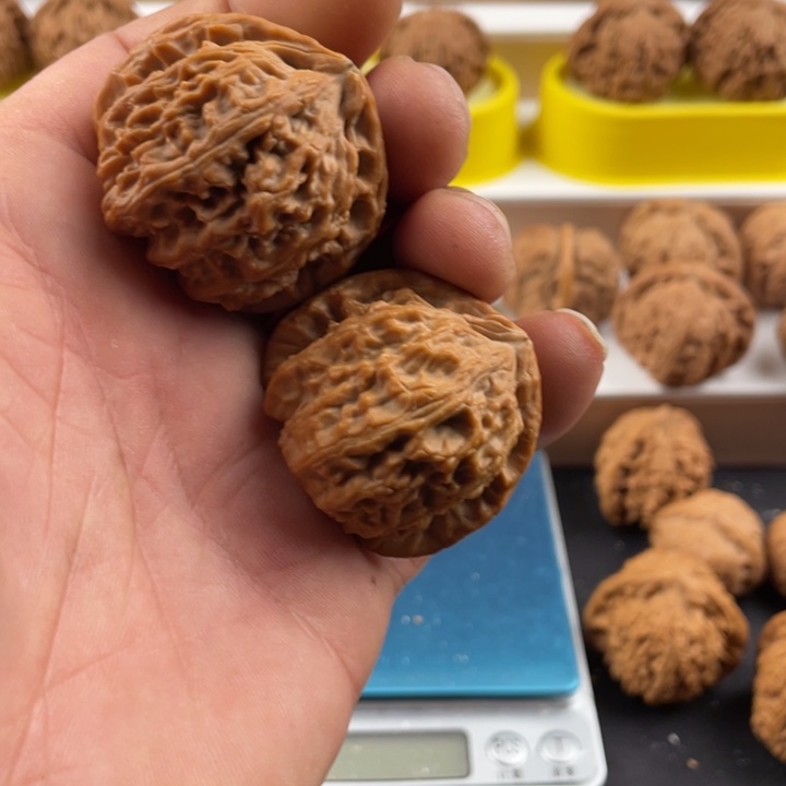 G***⒎40三角白狮子头略微虚尖