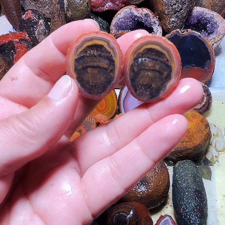 秀***驹玛瑙/玉髓未镶嵌珠宝奇石