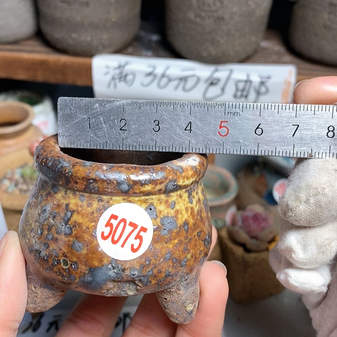 红陶拍5送一个小