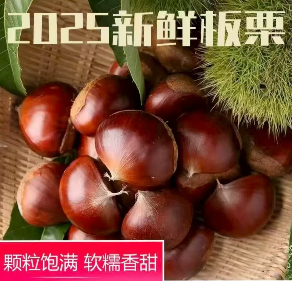 【买三斤送两斤】丹东高山老树板栗软糯香甜不开口非锥栗难剥皮