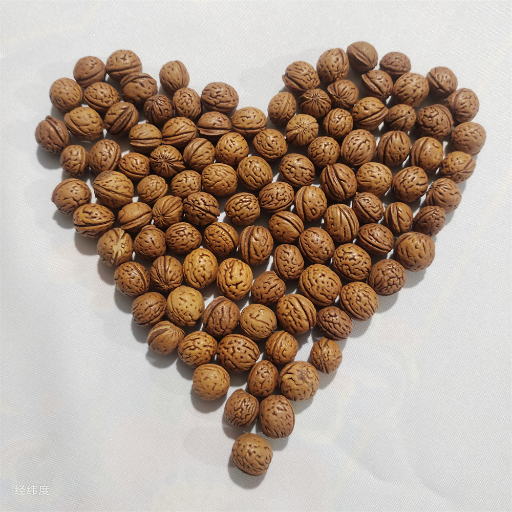 农家纯天然农产品山桃核装枕头原材料可做手串支持打孔