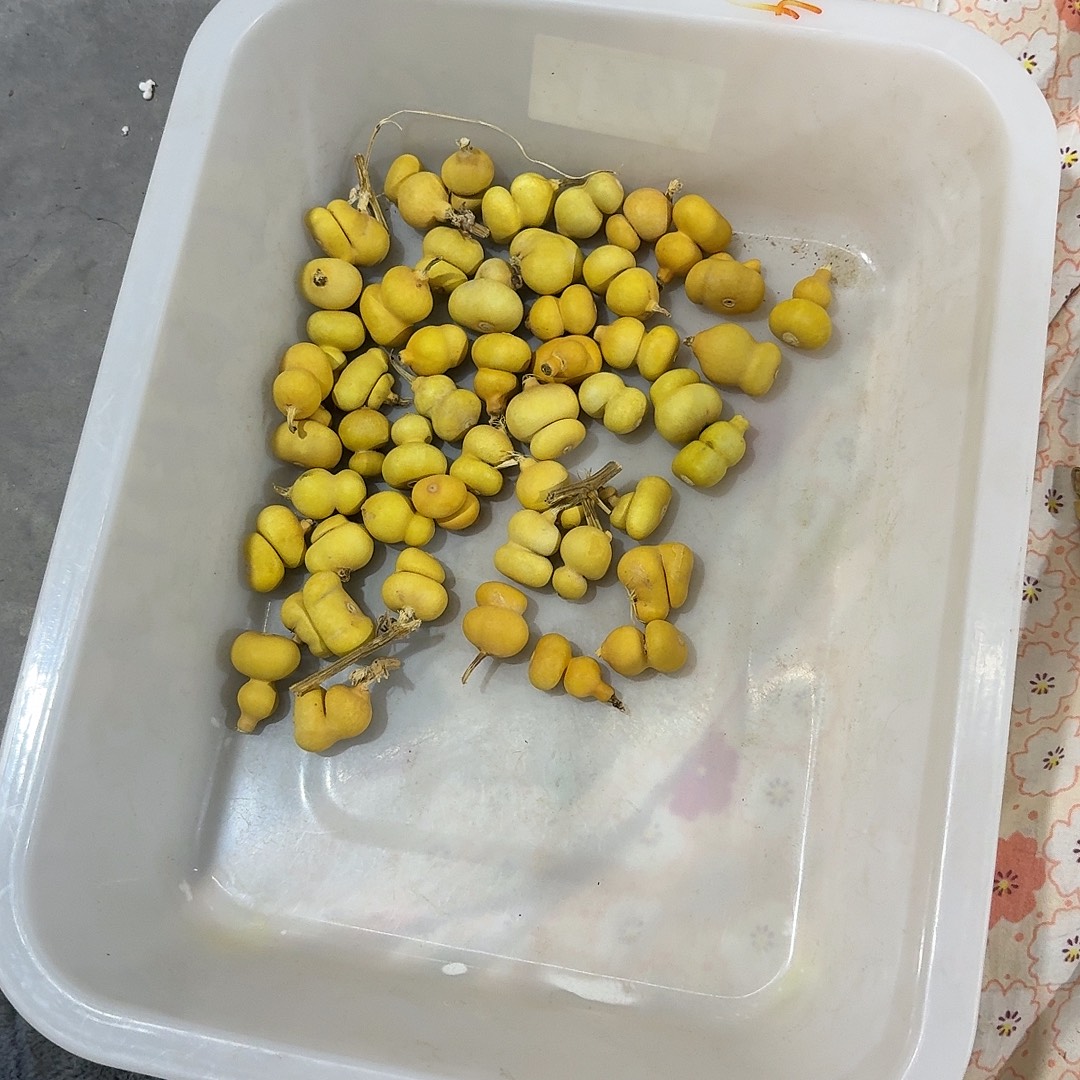 @***哥有机玻璃50哥2块的