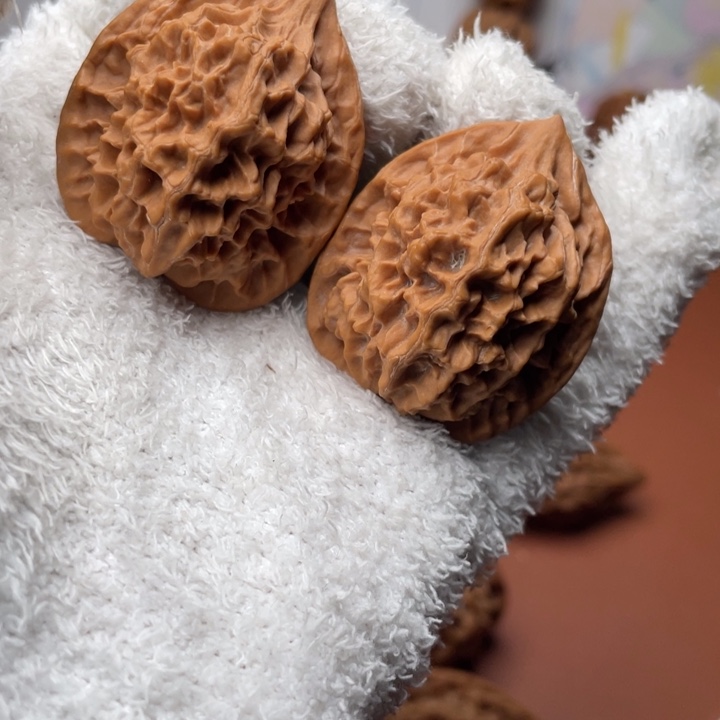 木质类秦核的电话是多少啊你