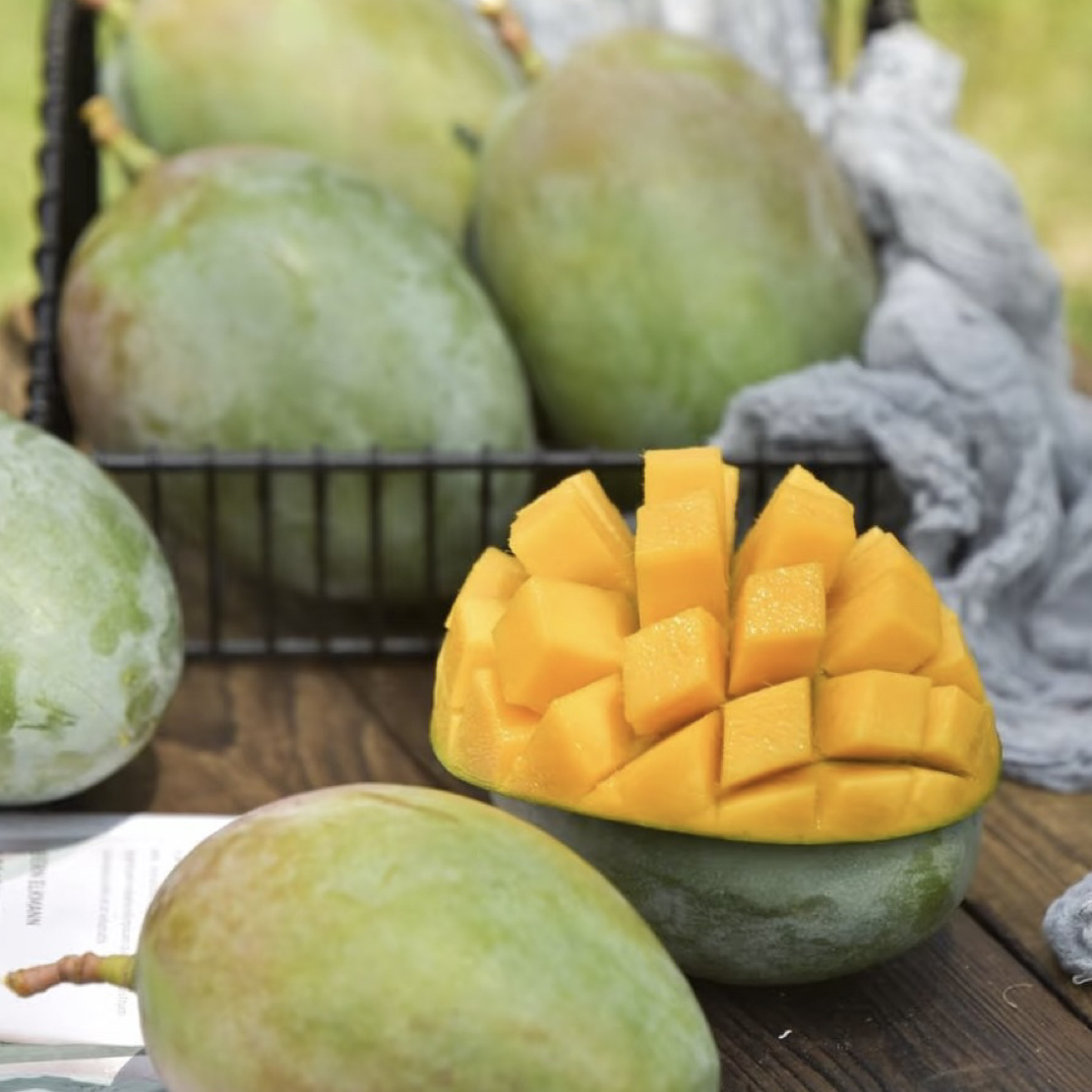 【攀枝花芒果】口感丝滑 香甜多汁 四川省