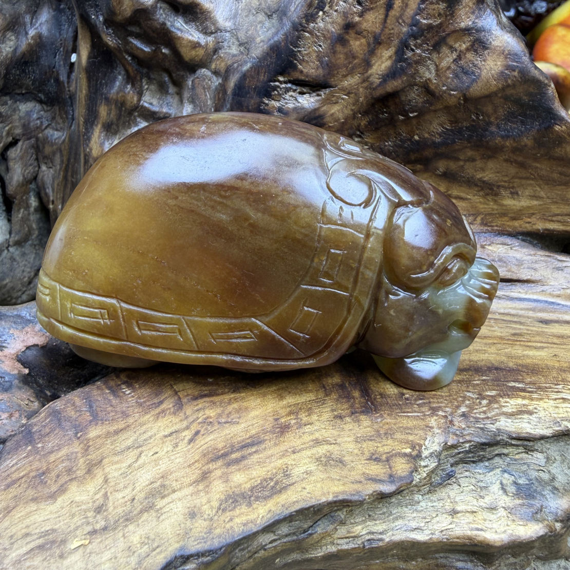 和田玉.262克，龙龟手把件.