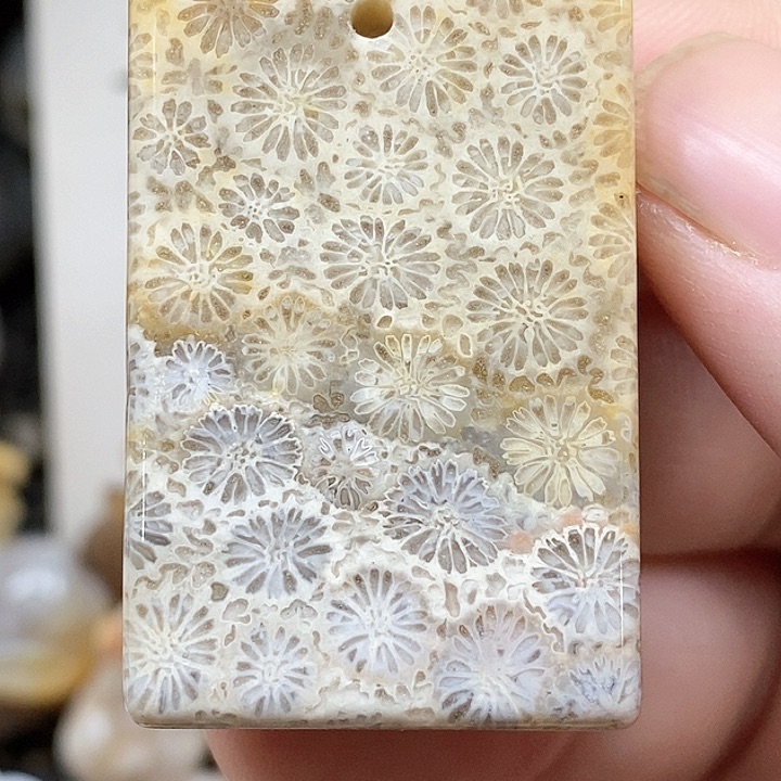 颈饰未镶嵌硅化珊瑚（珊瑚玉）