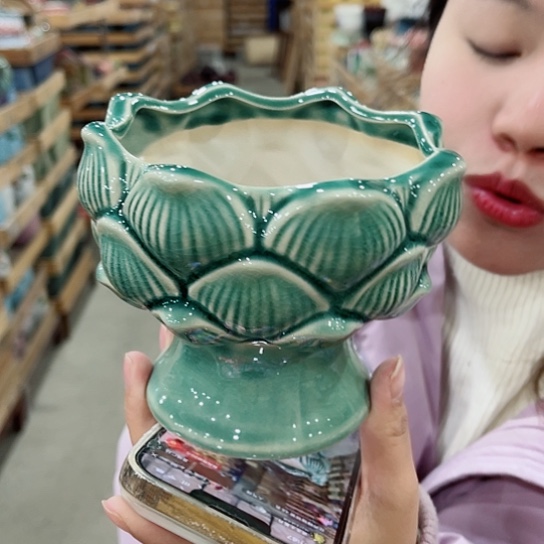 红陶直播间已有一年