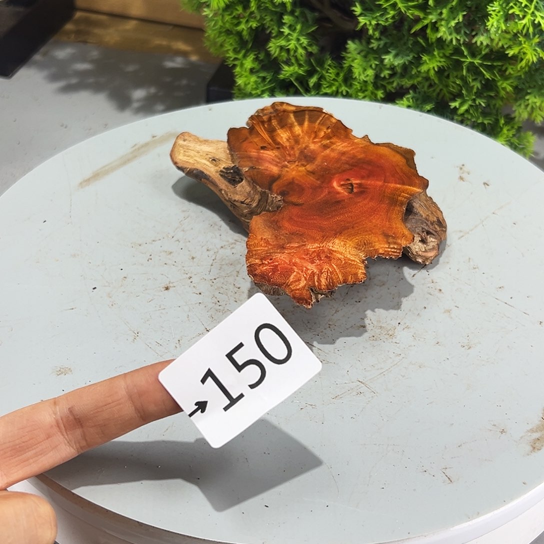 香榧木真火琉璃……