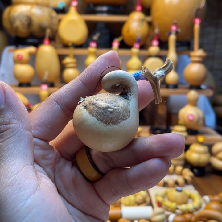 拉***布天然葫芦自然生长