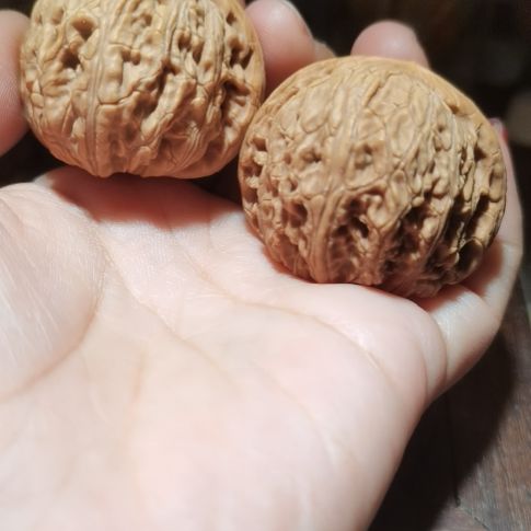 猴头核桃吊坠43泥鳅背