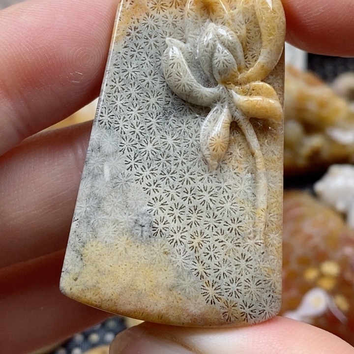 硅化珊瑚（珊瑚玉）颈饰未镶嵌