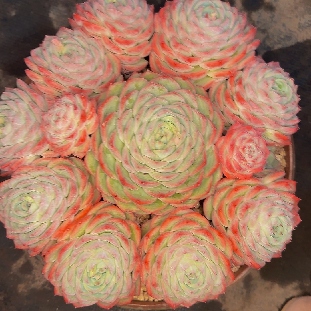 让***！久酷兔兔兔推荐健健康康快快乐乐l