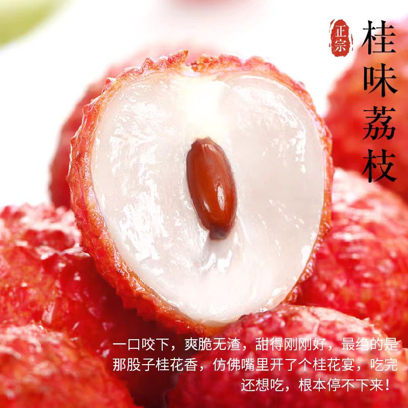 【中通顺丰冷链发货】广东茂名高州桂味荔枝当季新鲜采摘发货3