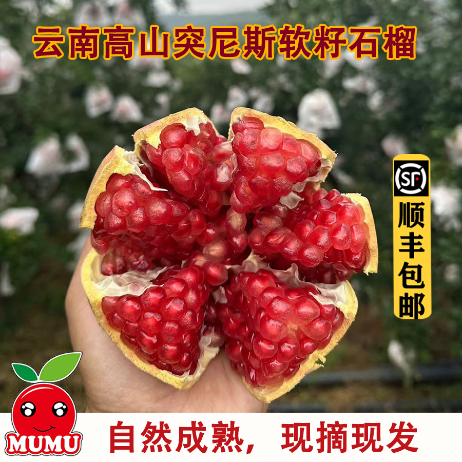顺丰包邮云南高山软籽石榴突尼斯软籽石榴新鲜现摘果园直发