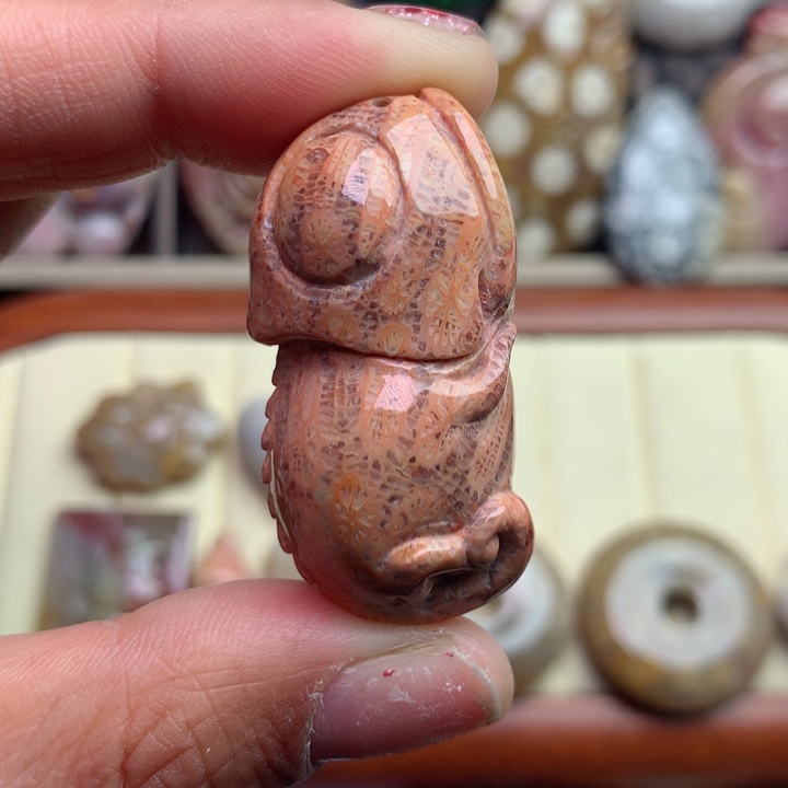 硅化珊瑚（珊瑚玉）颈饰未镶嵌