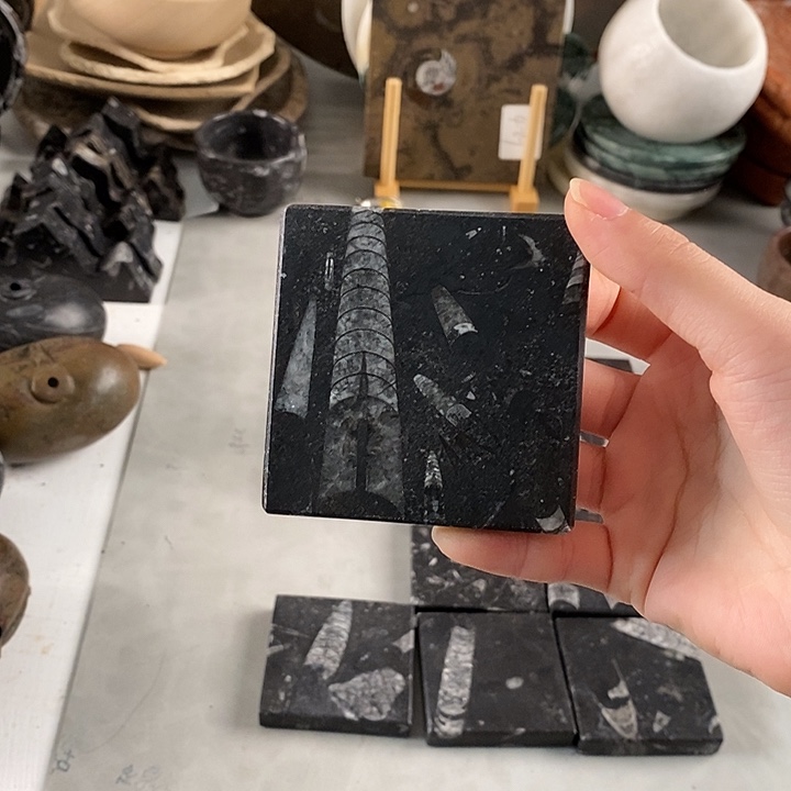 P***M角石化石茶盘干泡台