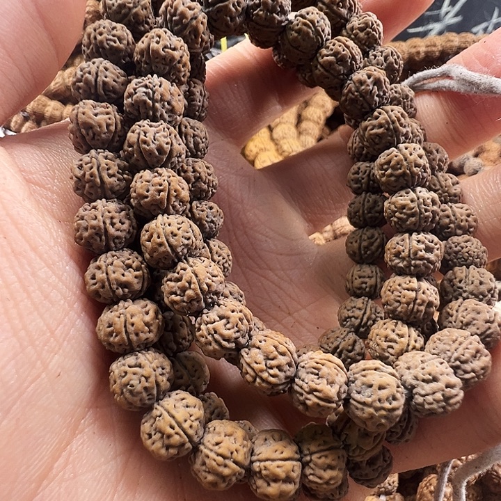 吊坠金刚菩提勿里达老树王8m