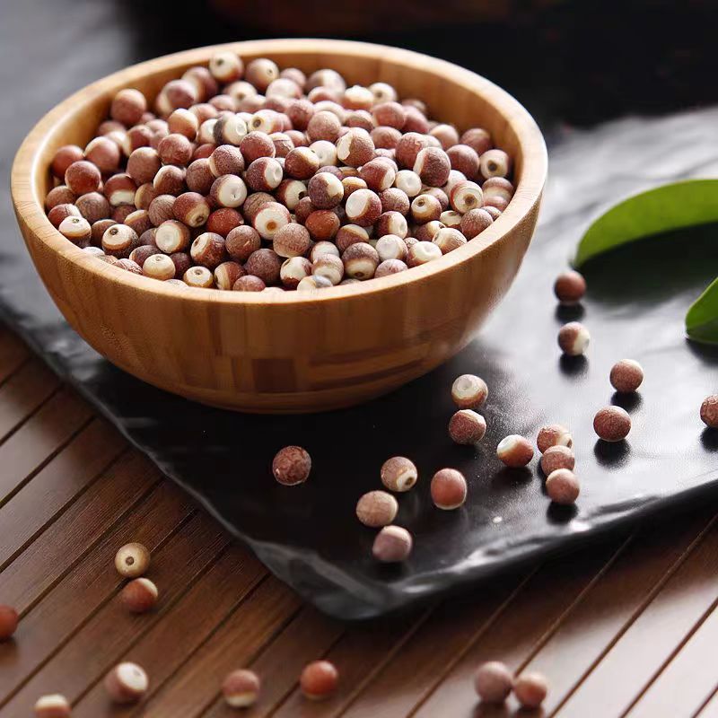 肇庆当季新货芡实鸡头米可煮粥煲汤搭配茯苓的特产食材