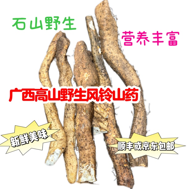 广西高山野生风铃山药