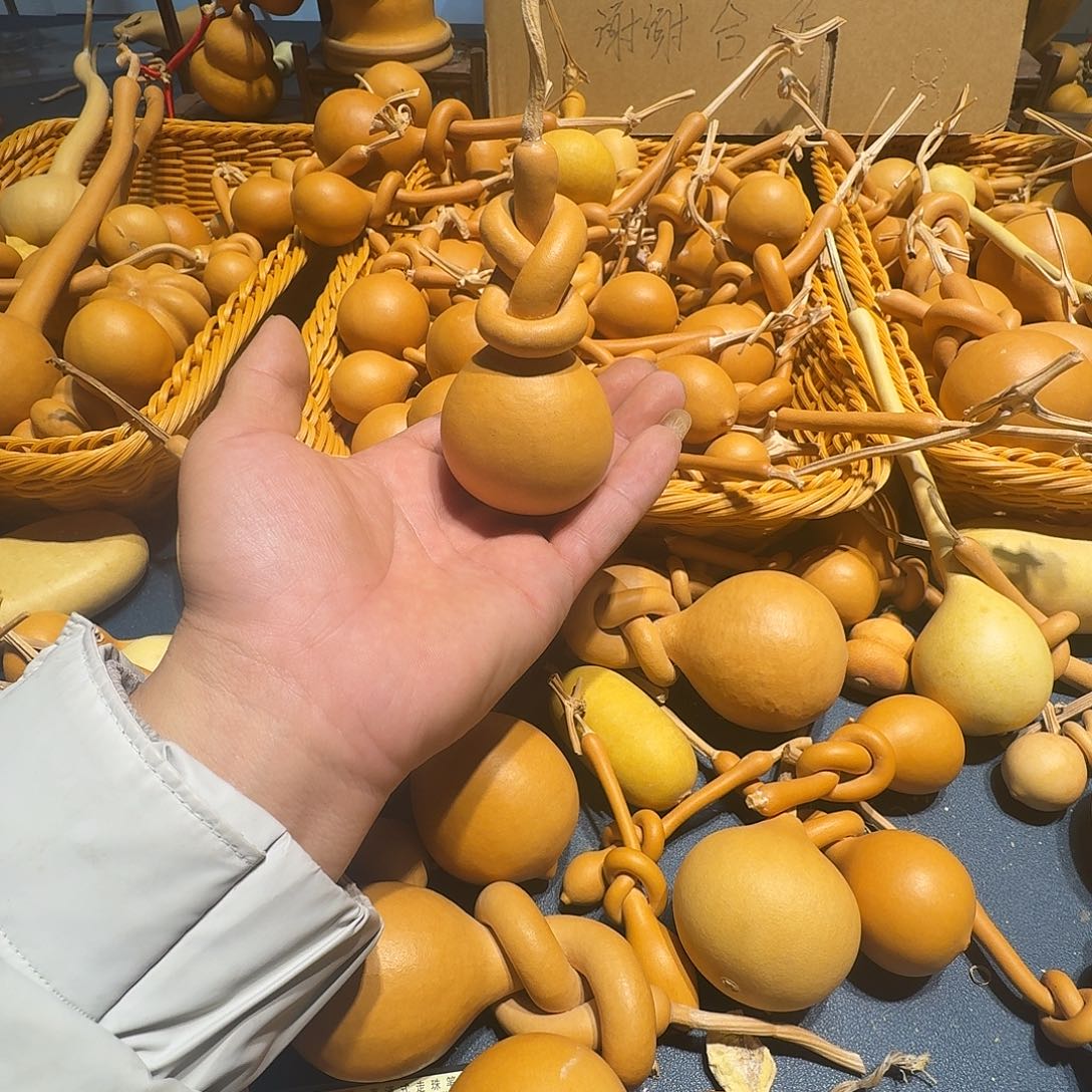 栋***栋葫芦等农作物和经济适用作物