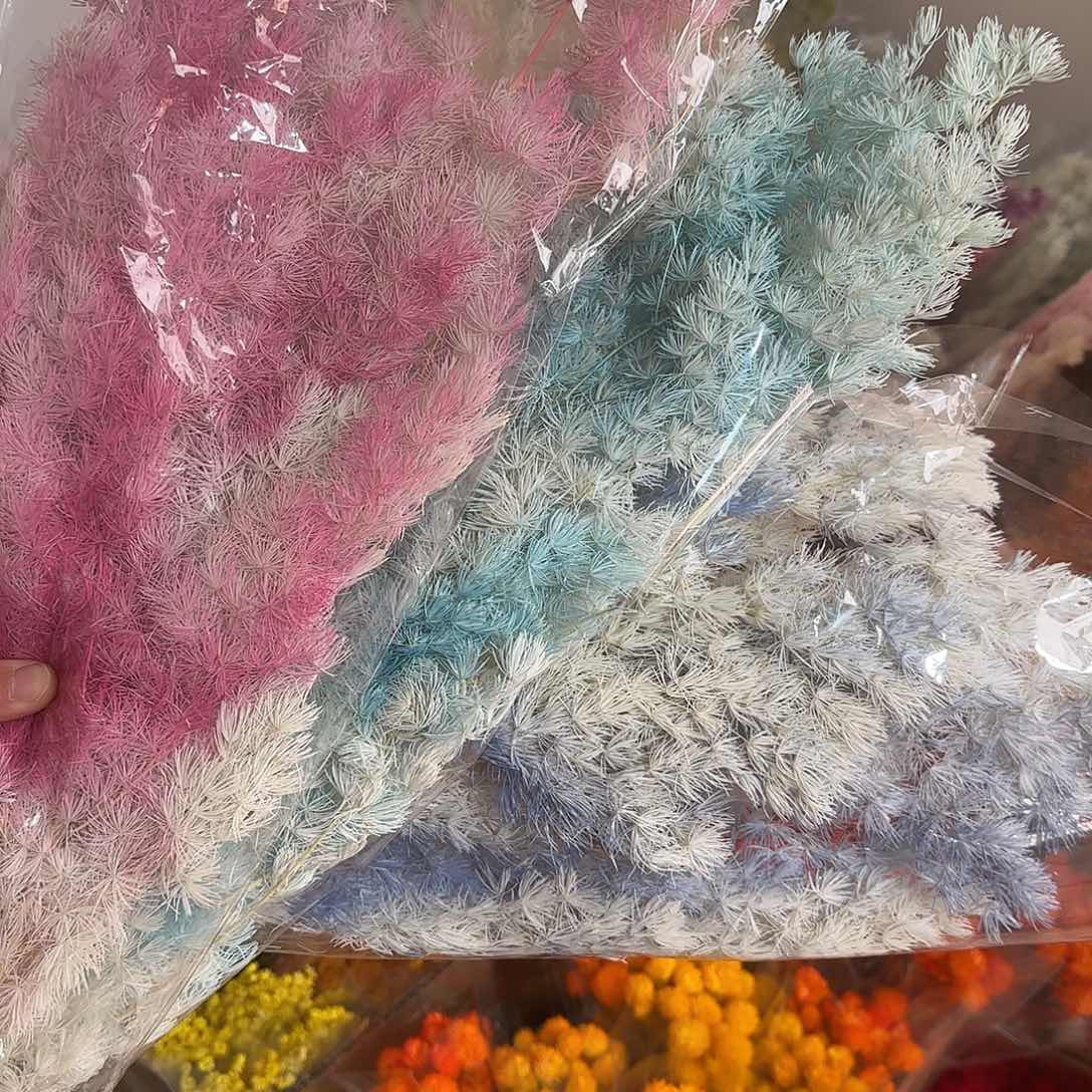 K27号3把混色蓬莱松