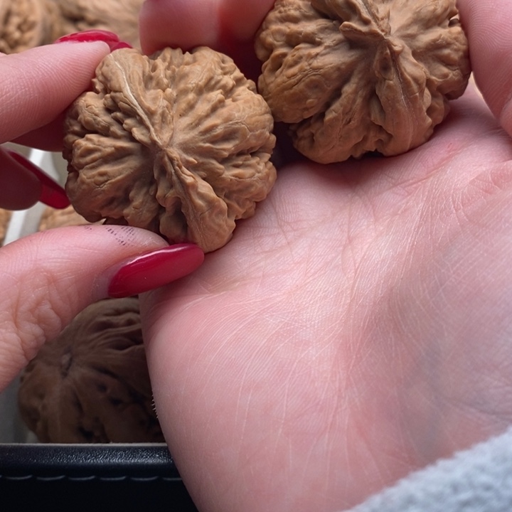 ****࿐把件文玩核桃霸王龙