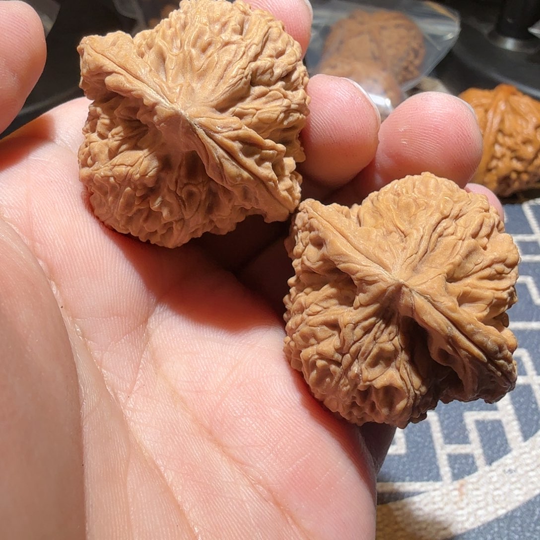 文玩核桃把件浩****版南疆