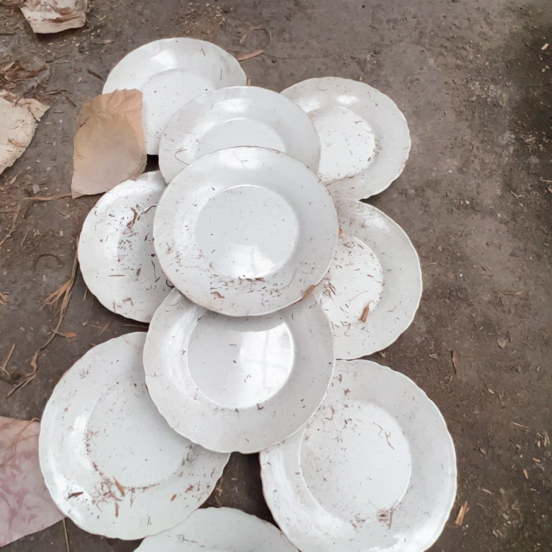 瓷景德镇高温陶瓷太阳花7.5寸10个