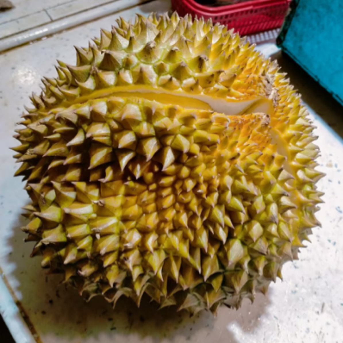 树上熟新鲜金枕榴莲/个 核小 约7斤 偏湿包介意勿拍榴莲同城配金枕泰国