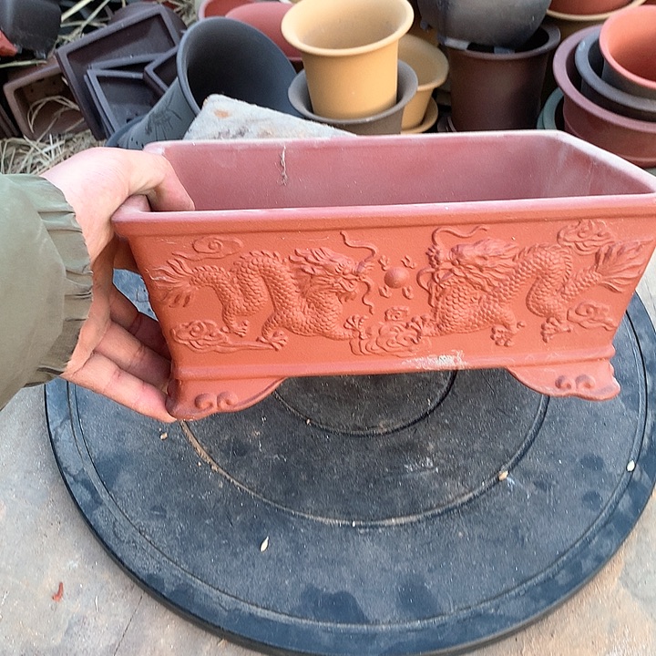 紫砂哈哈真的超级可爱哈哈哈哈哈！