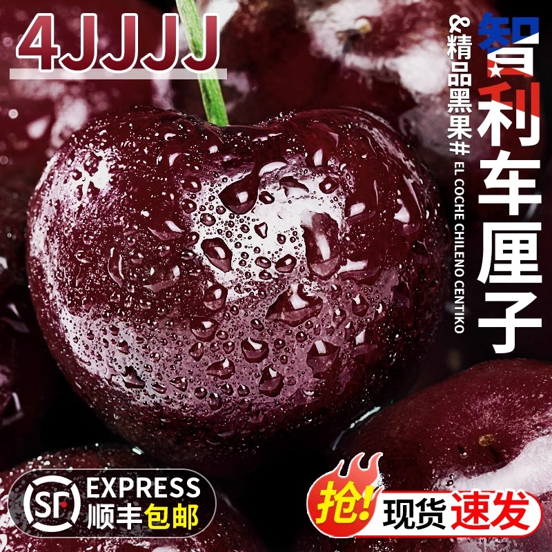 4JDD果王加大加黑【顺丰今天拍明天到】智利进口空运车厘子鲜头茬宝宝孕妇内附果径卡800gJT桑提娜智利共和国