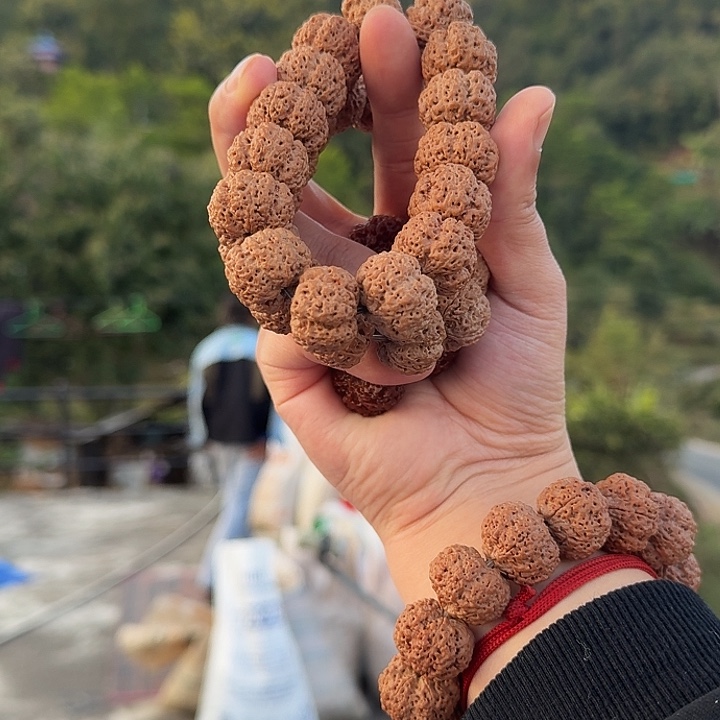 金刚菩提手串经典5号货金标20毫米梁五星蜂王