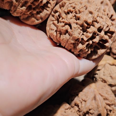 文玩核桃吊坠53管帽