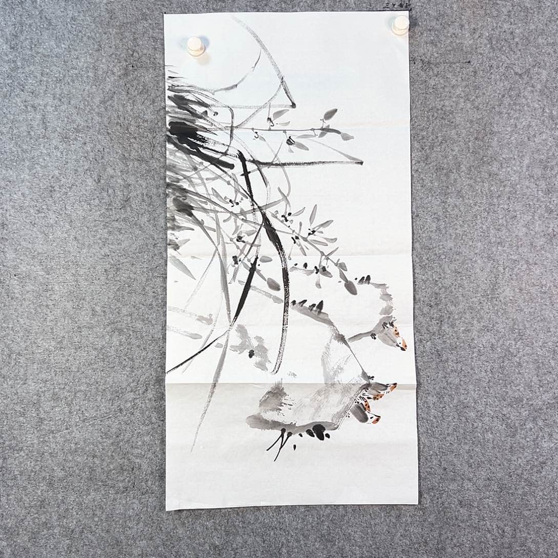 国画314 牡丹等植物资源和野生