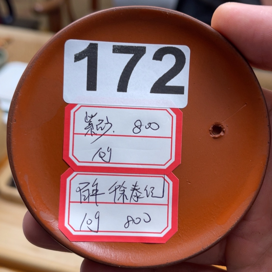 紫砂紫砂175………….