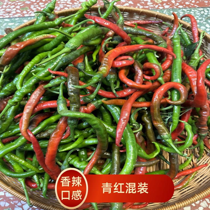 青红混装湖南农家自种辣椒现摘新鲜薄皮辣椒本地秋辣椒