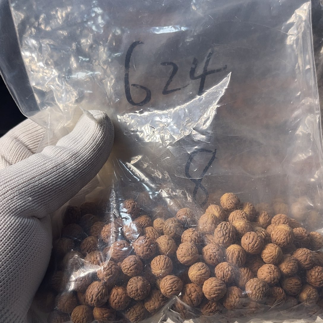 晚***辰木质非金属纯铜酸枣核320颗