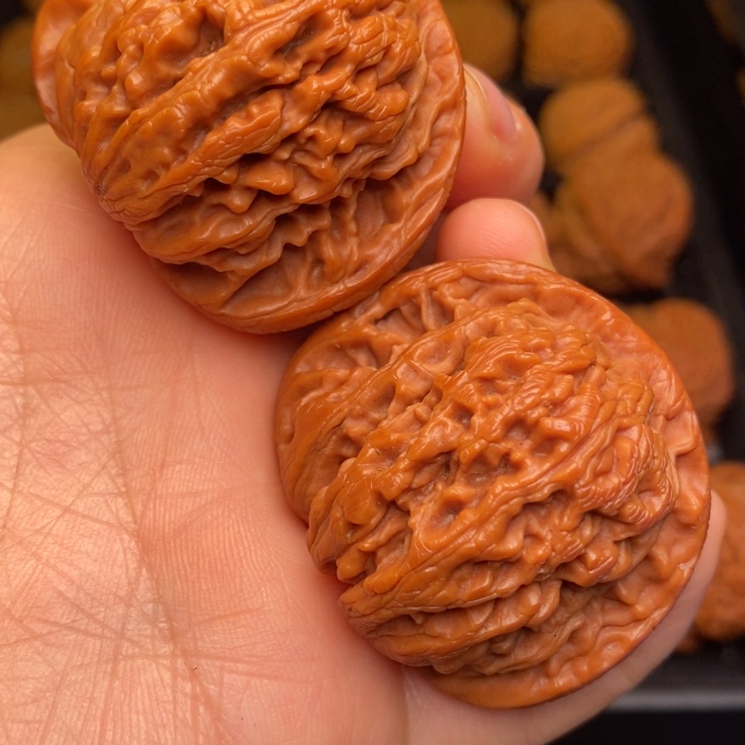 秦岭野生文玩核桃