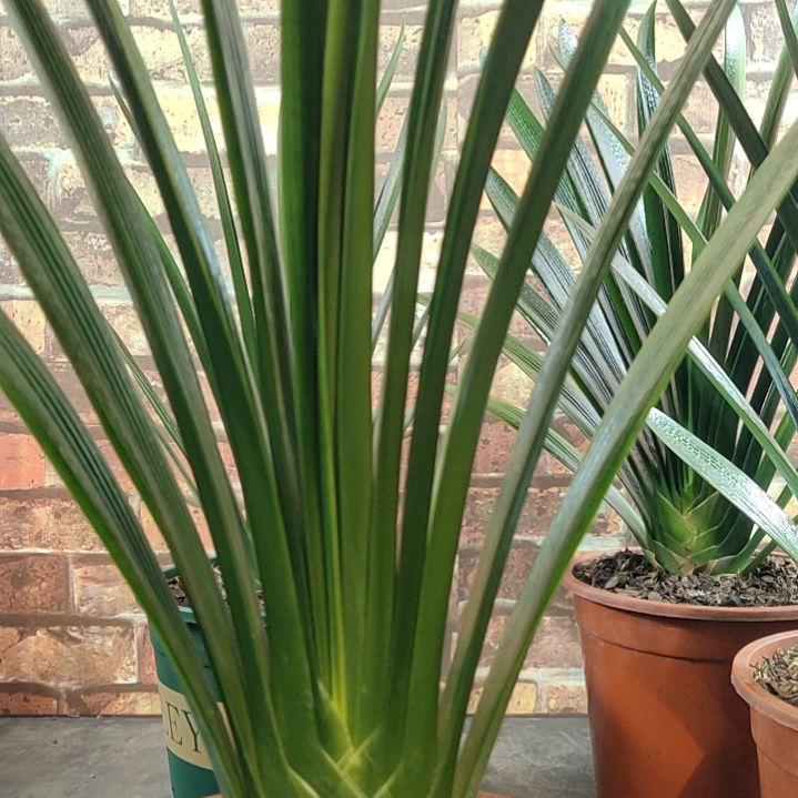 完全开放1111111112