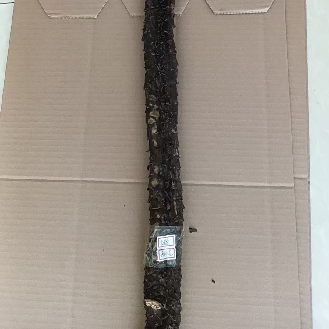 [肉苁蓉]牧民家自己的产品 枸杞