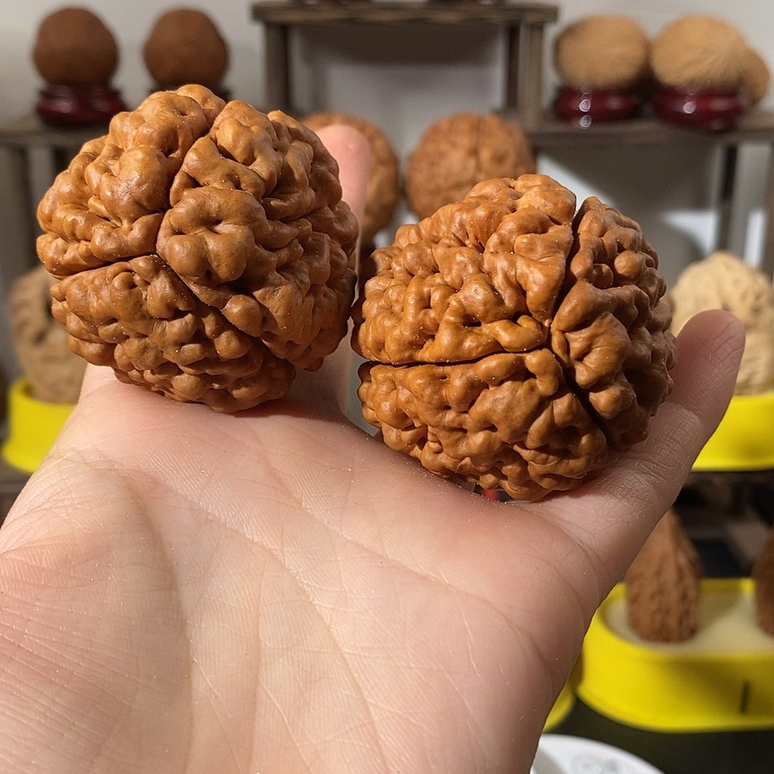 吊坠文玩核桃星*八三瓣脑纹金刚爆肉4851