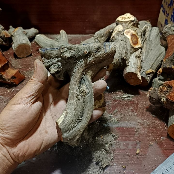 顺***天崖柏原叉崖柏原叉