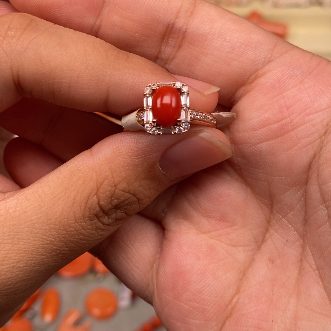 蔡***地头木木木木木木剧伏木木木木木末