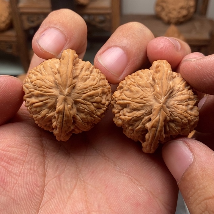 文玩核桃把件九*虎37全品白狮子